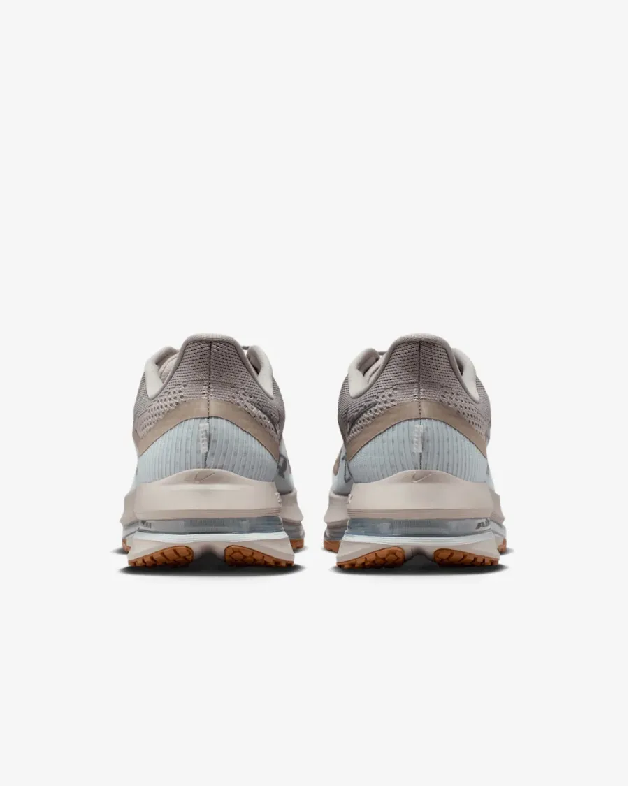 Кросівки Nike Pegasus Premium HQ2592-010