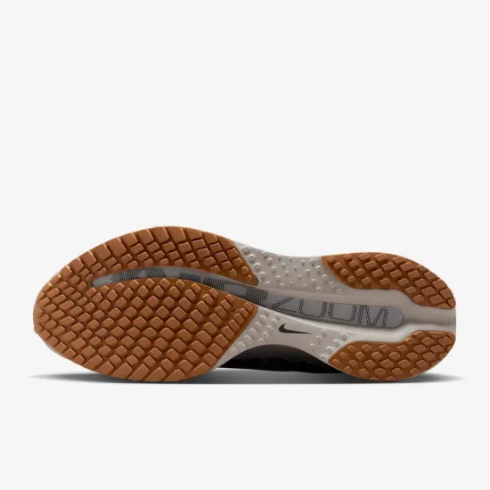 Кросівки Nike Pegasus Premium HQ2592-010