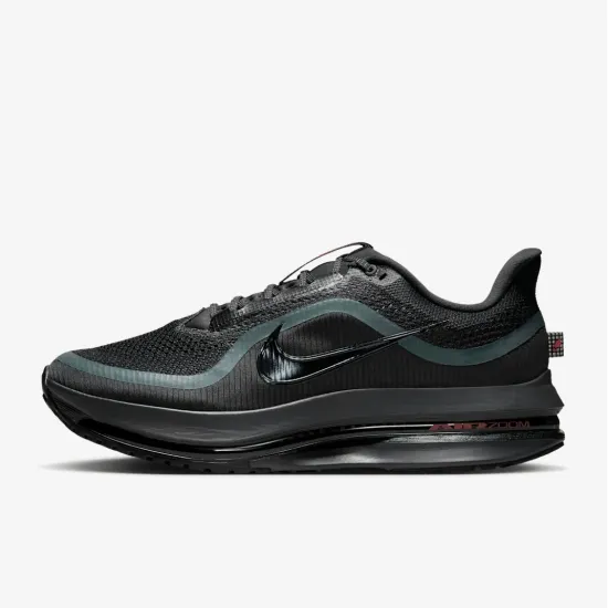 Кросівки Nike Pegasus Premium HQ2592-011