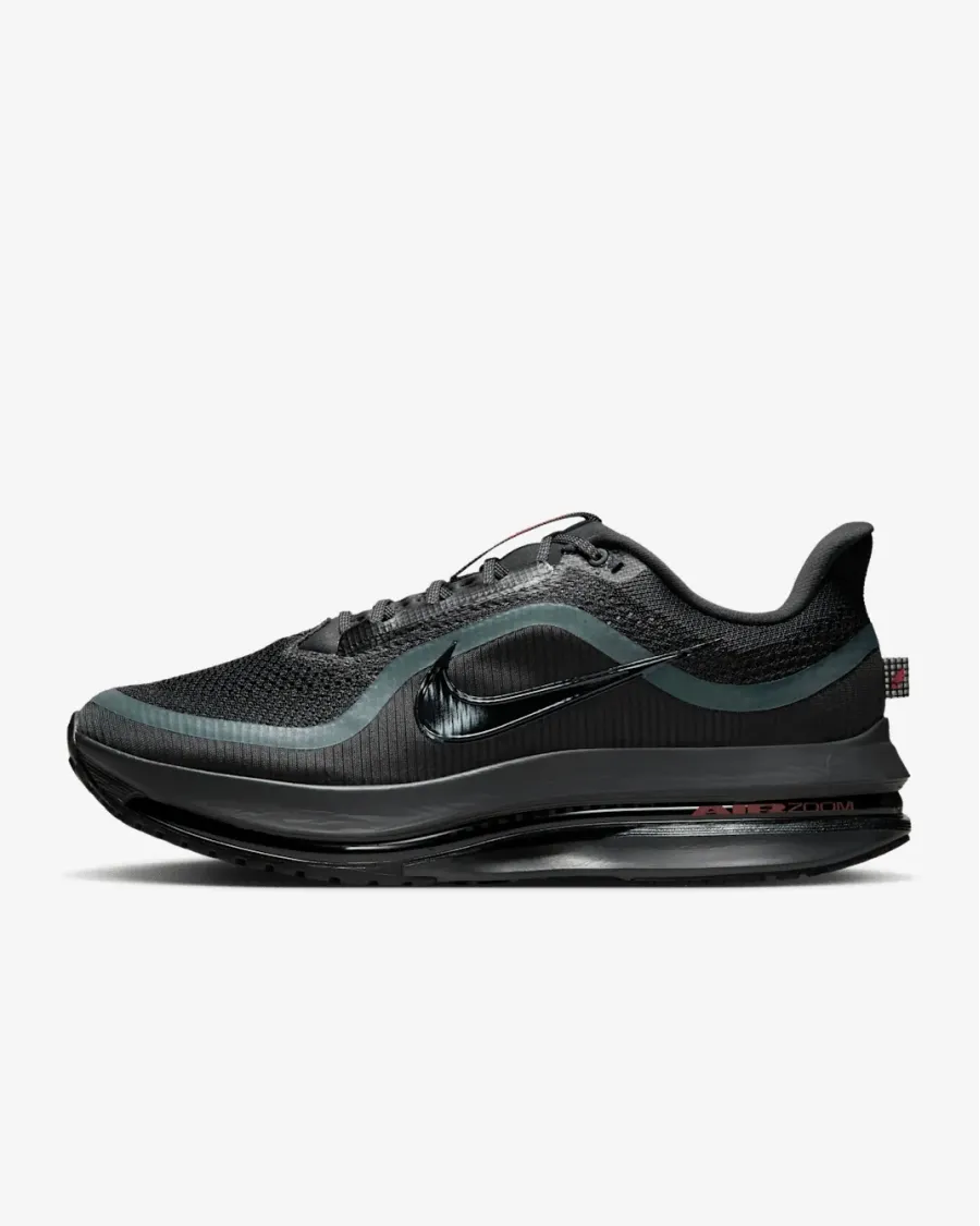 Кросівки Nike Pegasus Premium HQ2592-011