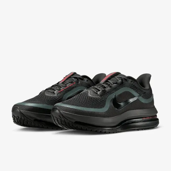 Кросівки Nike Pegasus Premium HQ2592-011