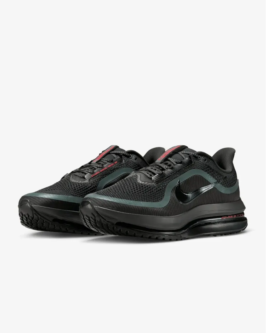 Кросівки Nike Pegasus Premium HQ2592-011