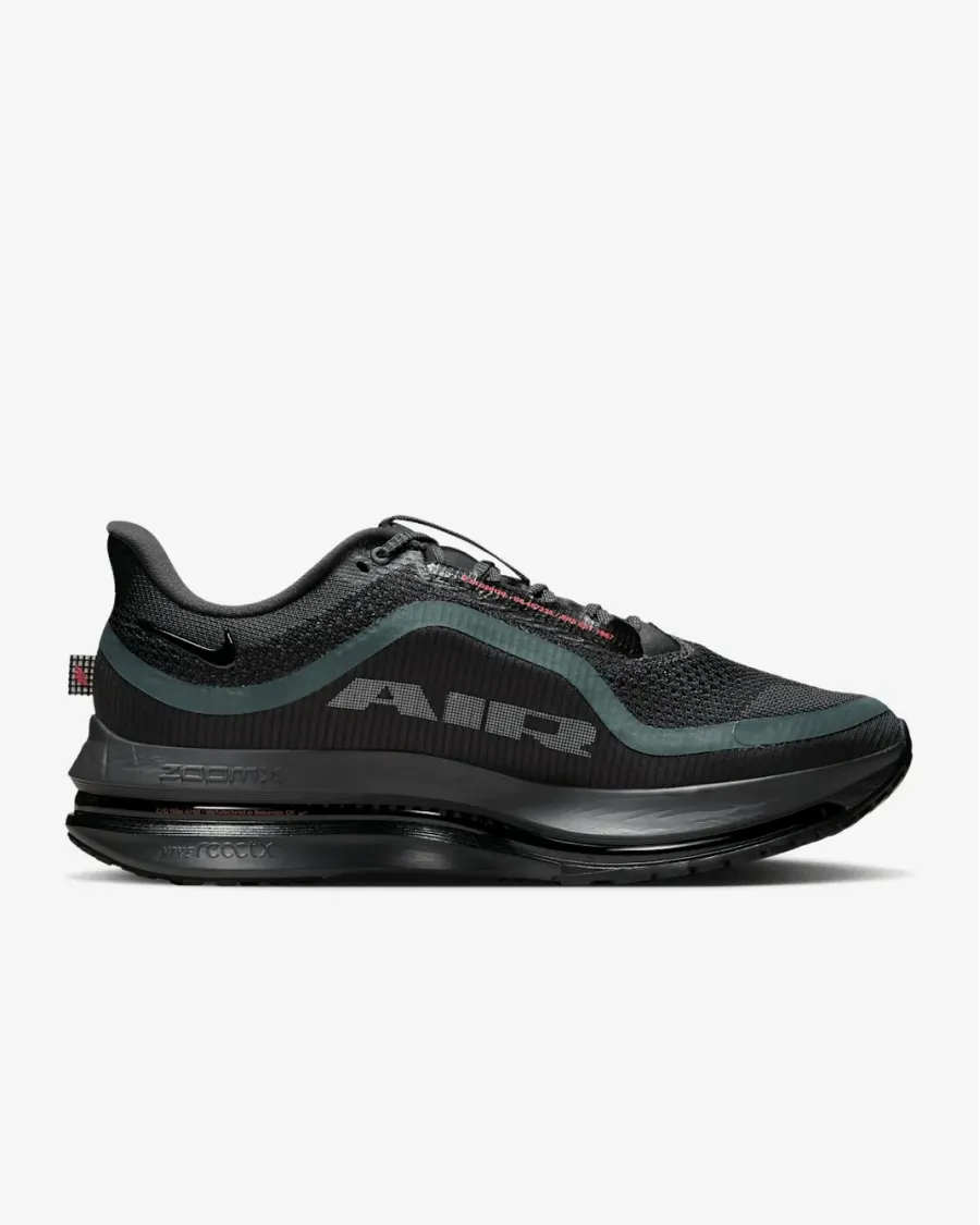 Кросівки Nike Pegasus Premium HQ2592-011