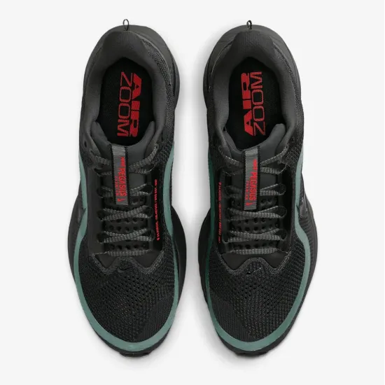 Кросівки Nike Pegasus Premium HQ2592-011