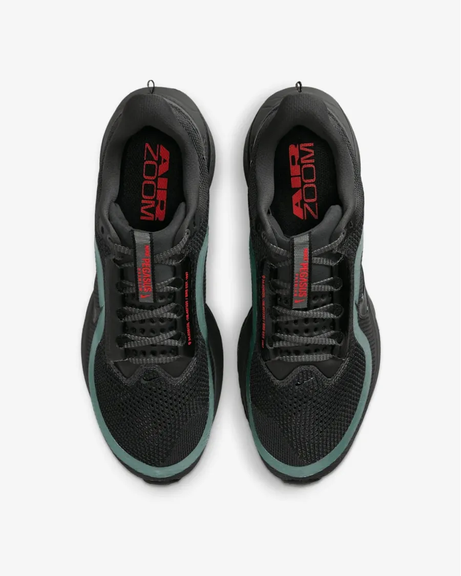 Кросівки Nike Pegasus Premium HQ2592-011