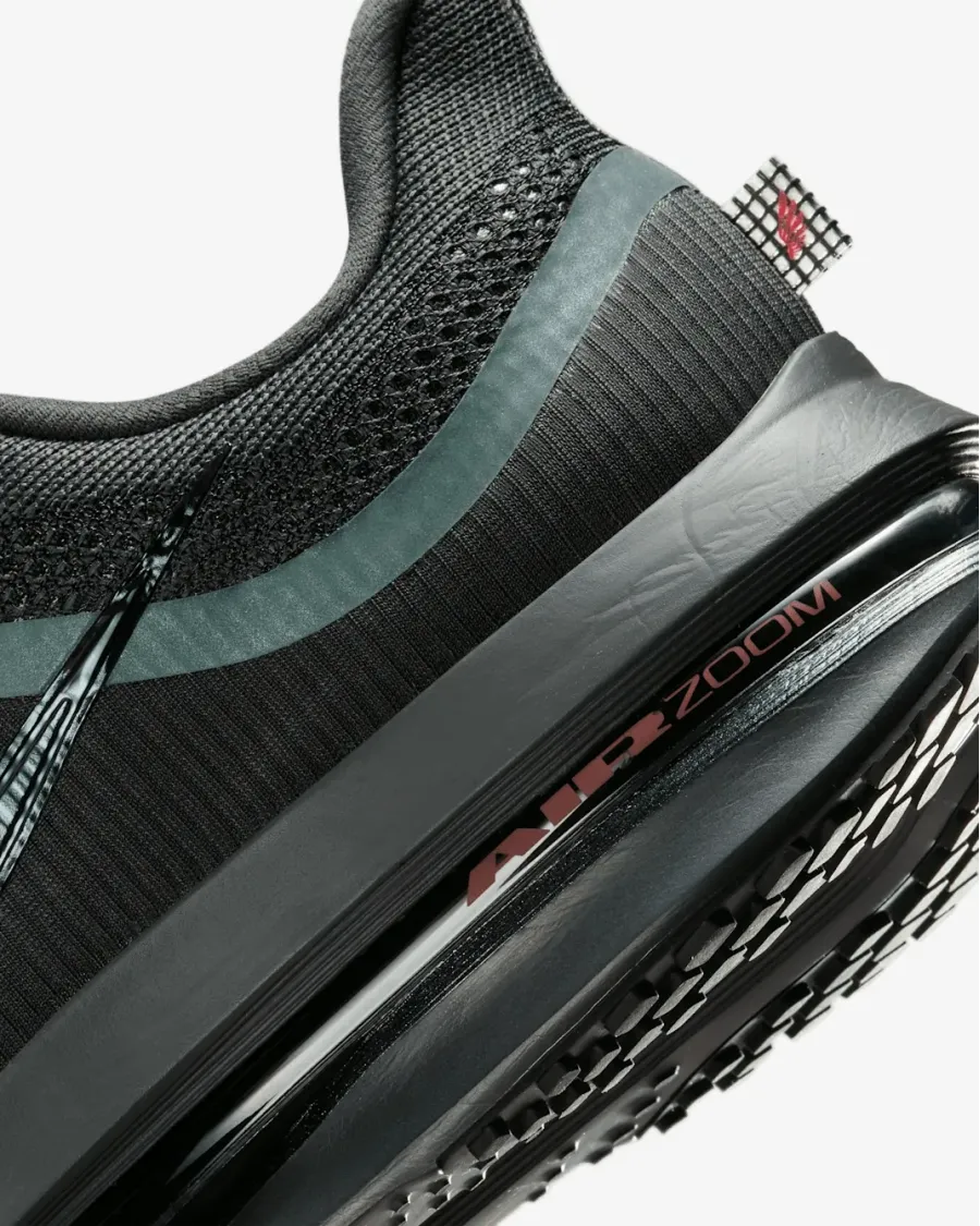 Кросівки Nike Pegasus Premium HQ2592-011