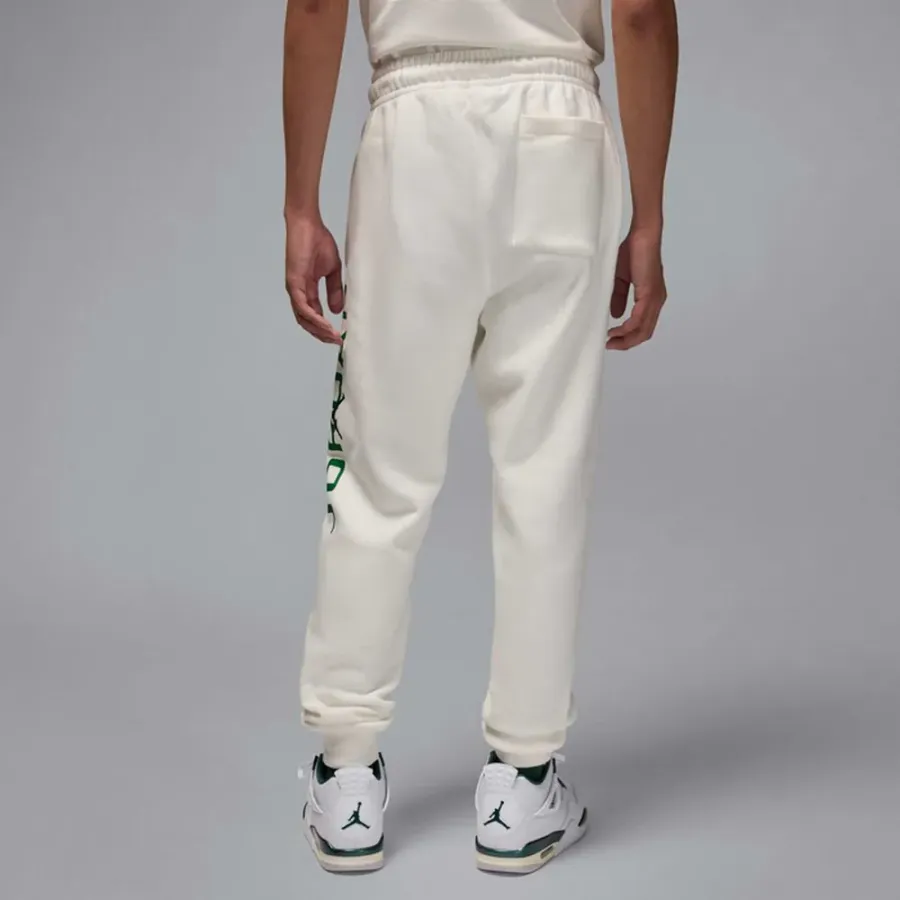 Штани Nike Air Jordan Essentials Fleece HQ4645-133