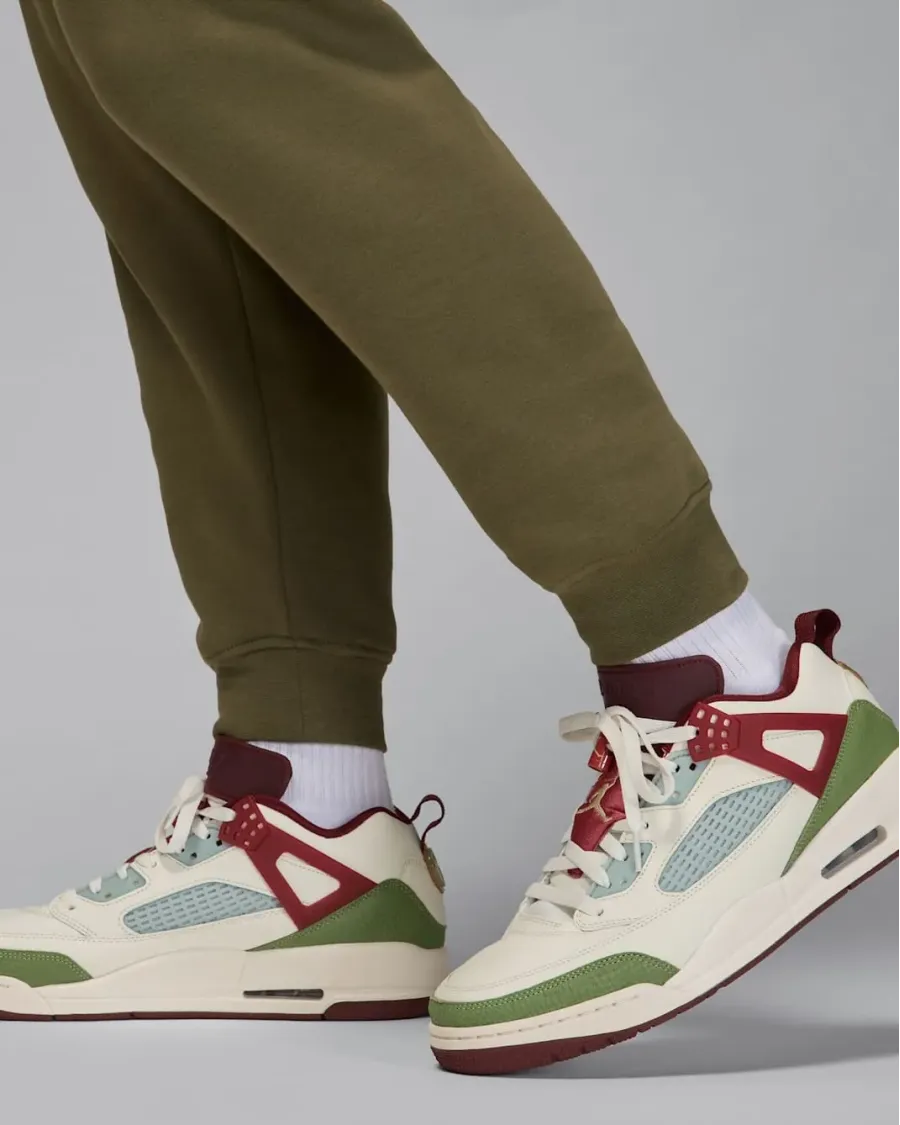 Штани Nike Air Jordan Essentials Fleece HQ4645-222