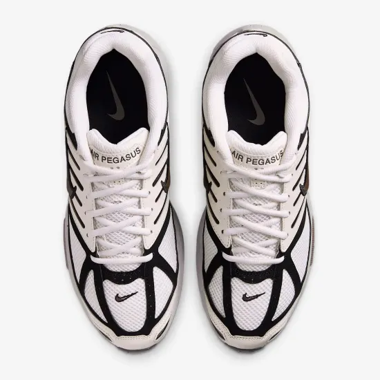Кросівки Nike Air Pegasus 2K5 HQ5403-003