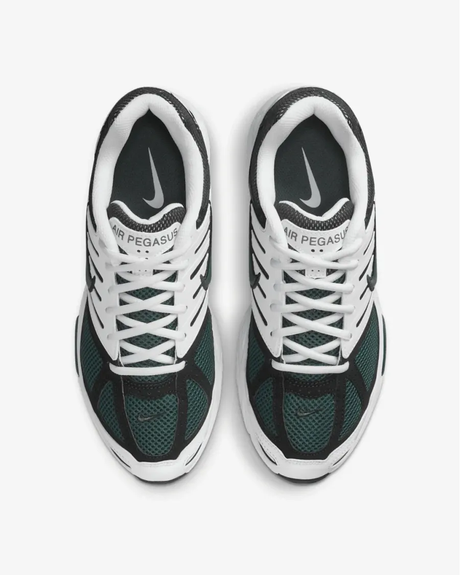 Кросівки Nike Air Pegasus 2005 HQ5718-102