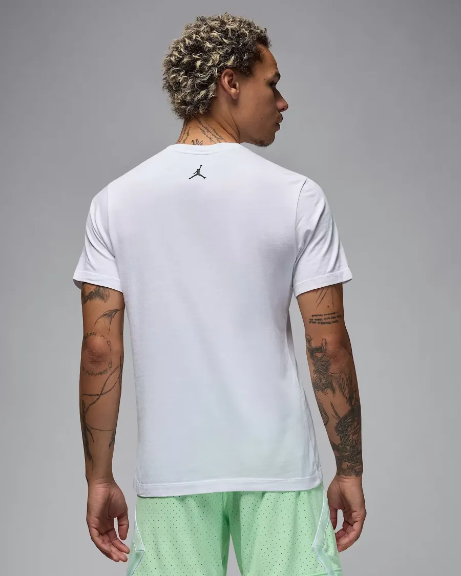 Футболка Nike Air Jordan Sport Dri-FIT HQ7984-100