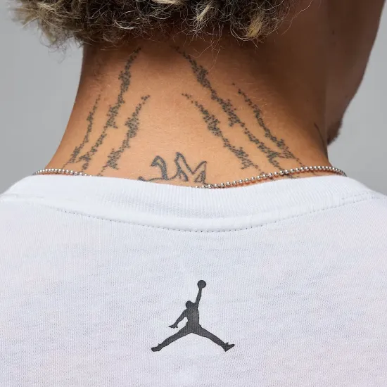 Футболка Nike Air Jordan Sport Dri-FIT HQ7984-100
