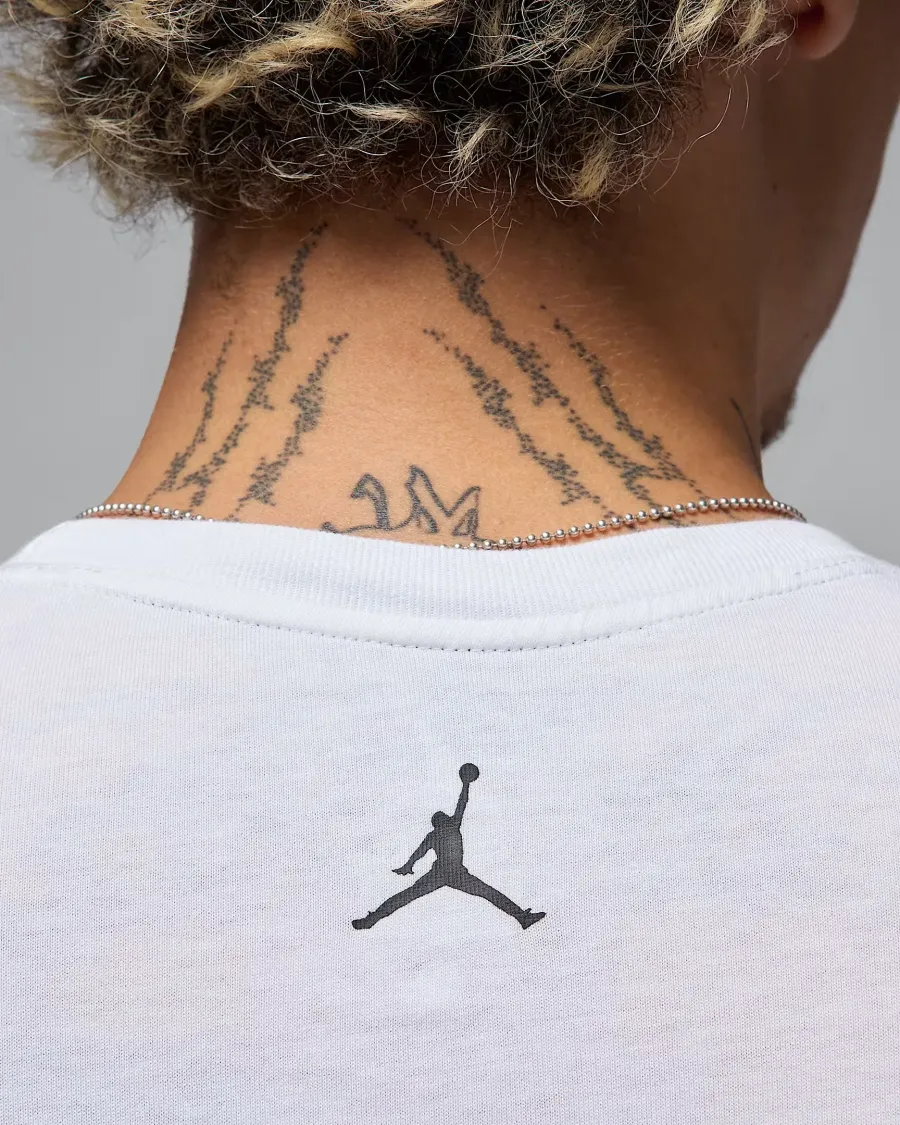 Футболка Nike Air Jordan Sport Dri-FIT HQ7984-100
