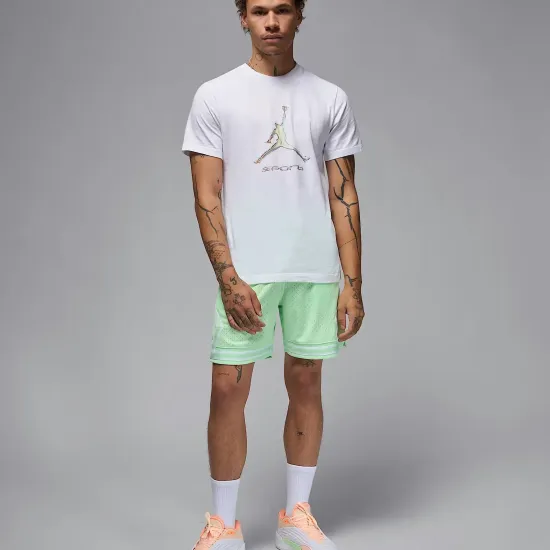 Футболка Nike Air Jordan Sport Dri-FIT HQ7984-100