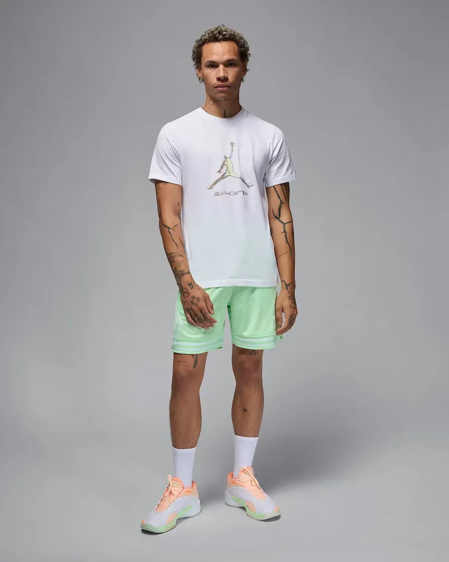 Футболка Nike Air Jordan Sport Dri-FIT HQ7984-100