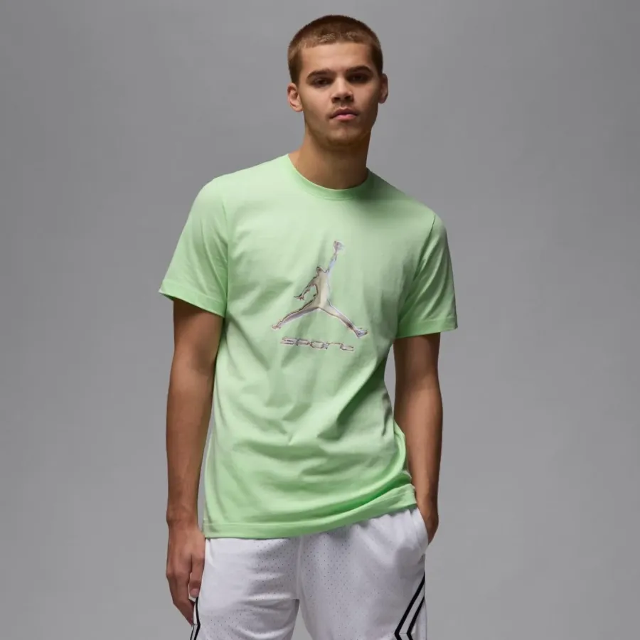 Футболка Nike Air Jordan Sport Dri-FIT HQ7984-376