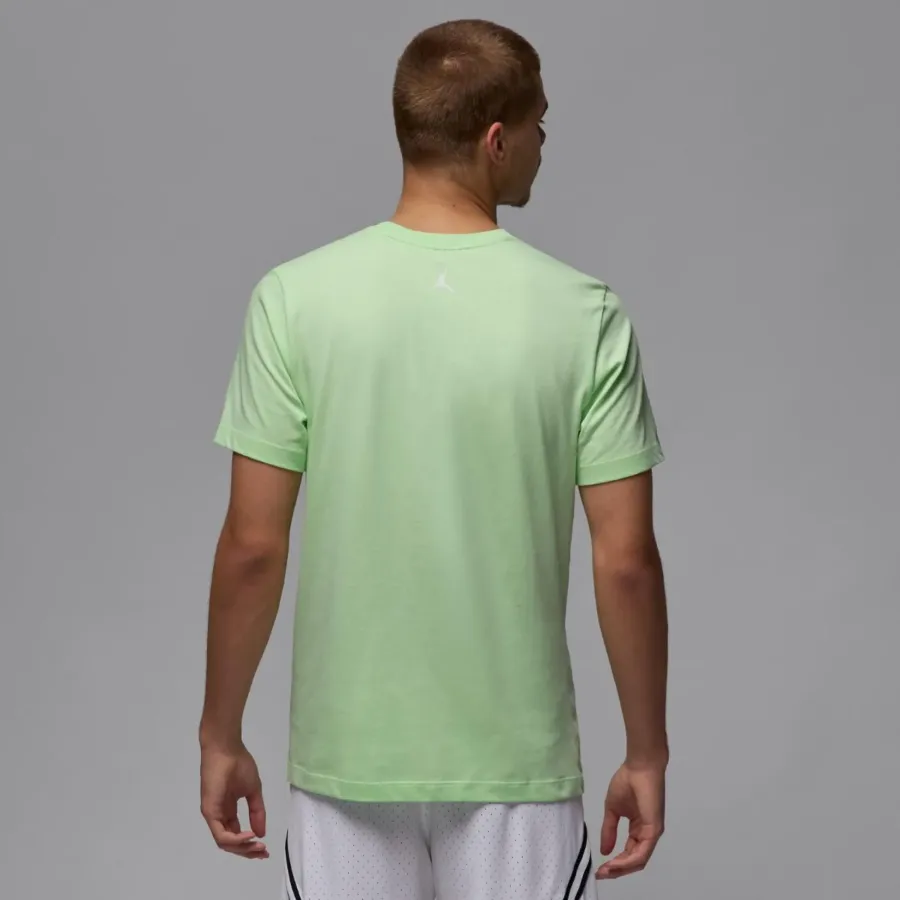 Футболка Nike Air Jordan Sport Dri-FIT HQ7984-376