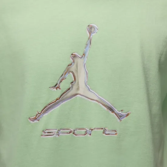 Футболка Nike Air Jordan Sport Dri-FIT HQ7984-376