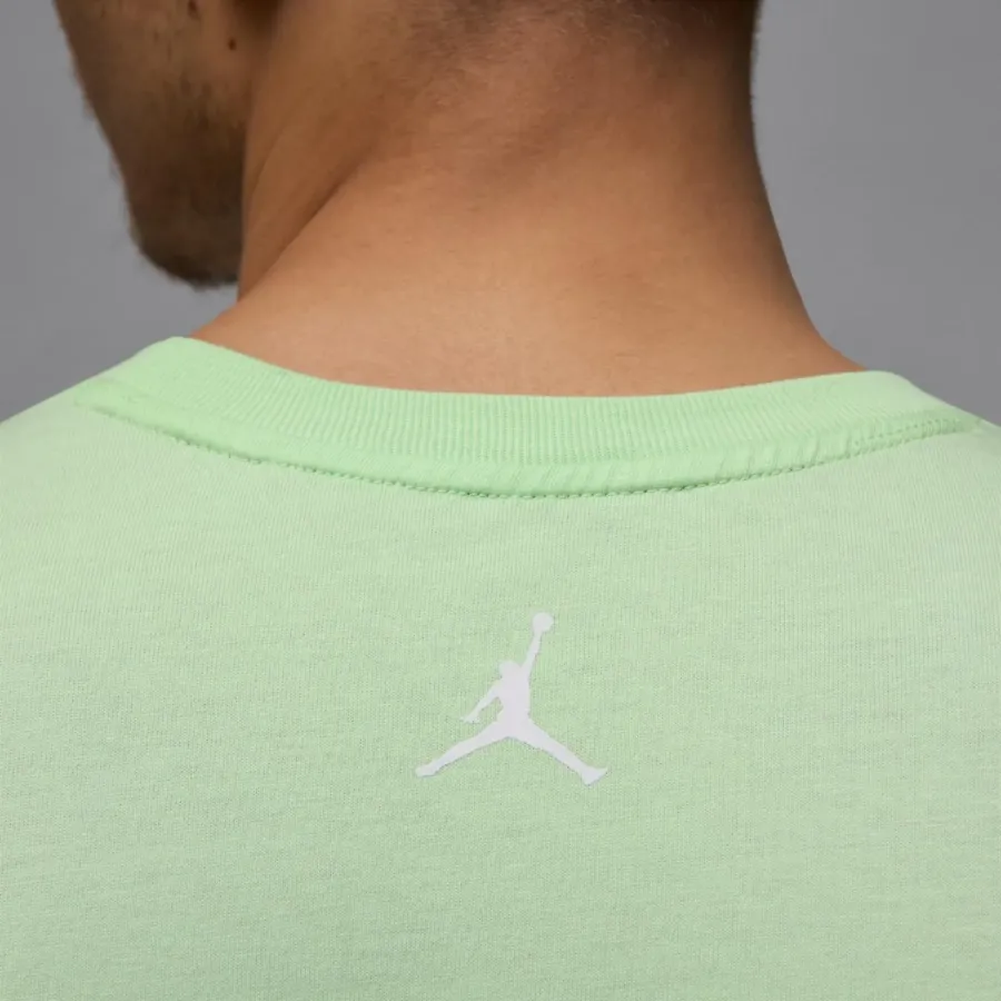 Футболка Nike Air Jordan Sport Dri-FIT HQ7984-376