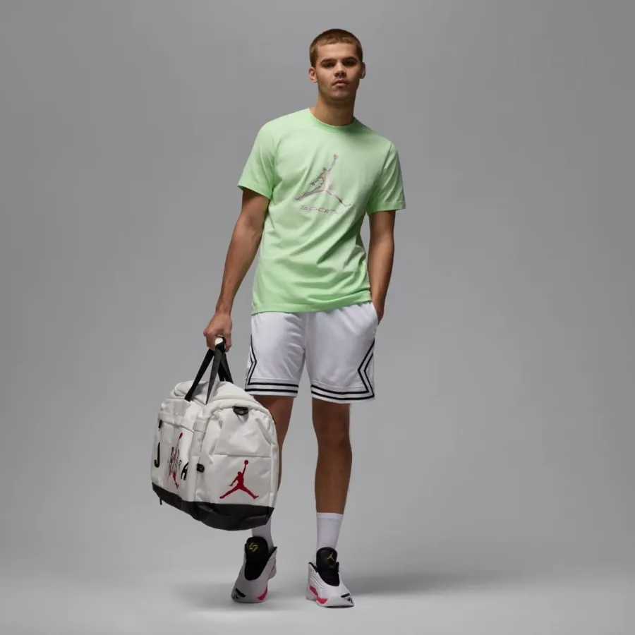 Футболка Nike Air Jordan Sport Dri-FIT HQ7984-376
