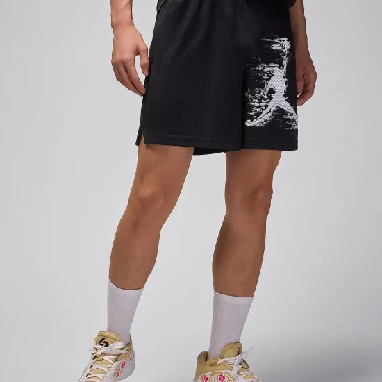 Шорти Nike Air Jordan Sport Dri-FIT Graphic HQ8665-010