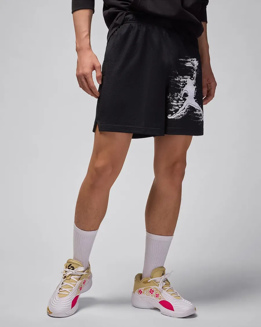 Шорти Nike Air Jordan Sport Dri-FIT Graphic HQ8665-010