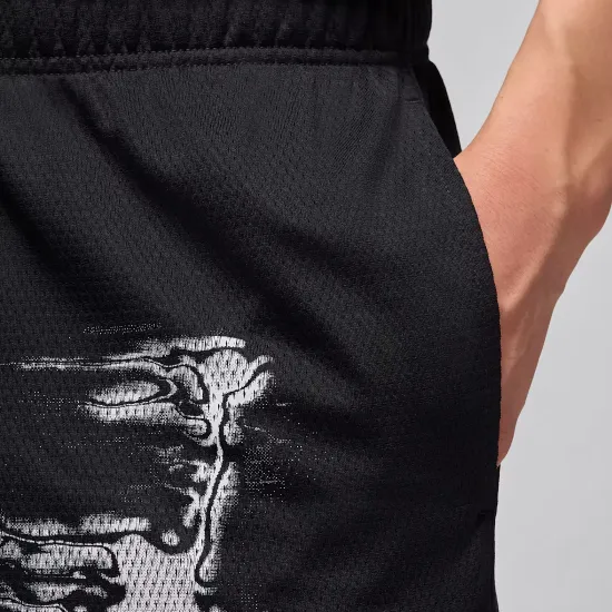 Шорти Nike Air Jordan Sport Dri-FIT Graphic HQ8665-010