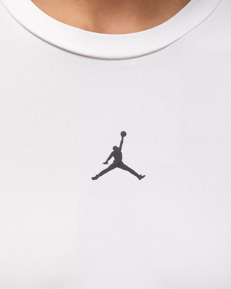Термофутболка Nike Air Jordan Sport Dri‑FIT HQ8683-100