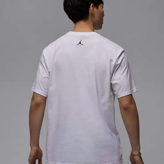 Футболка Nike Air Jordan Sport Dri-FIT Graphic HQ8966-100
