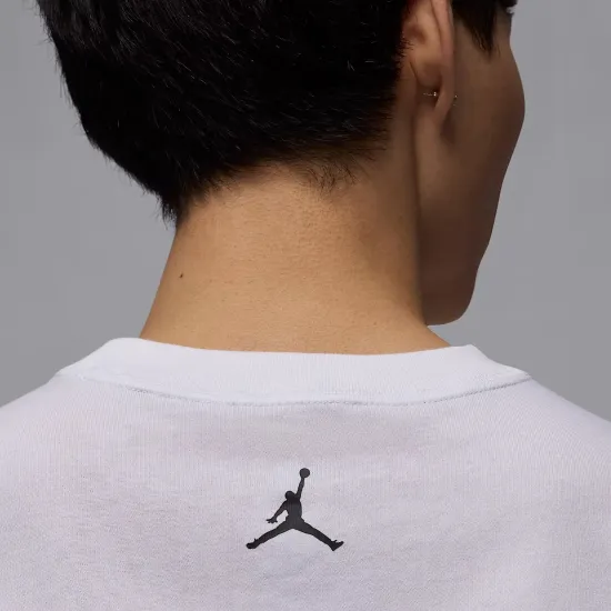 Футболка Nike Air Jordan Sport Dri-FIT Graphic HQ8966-100