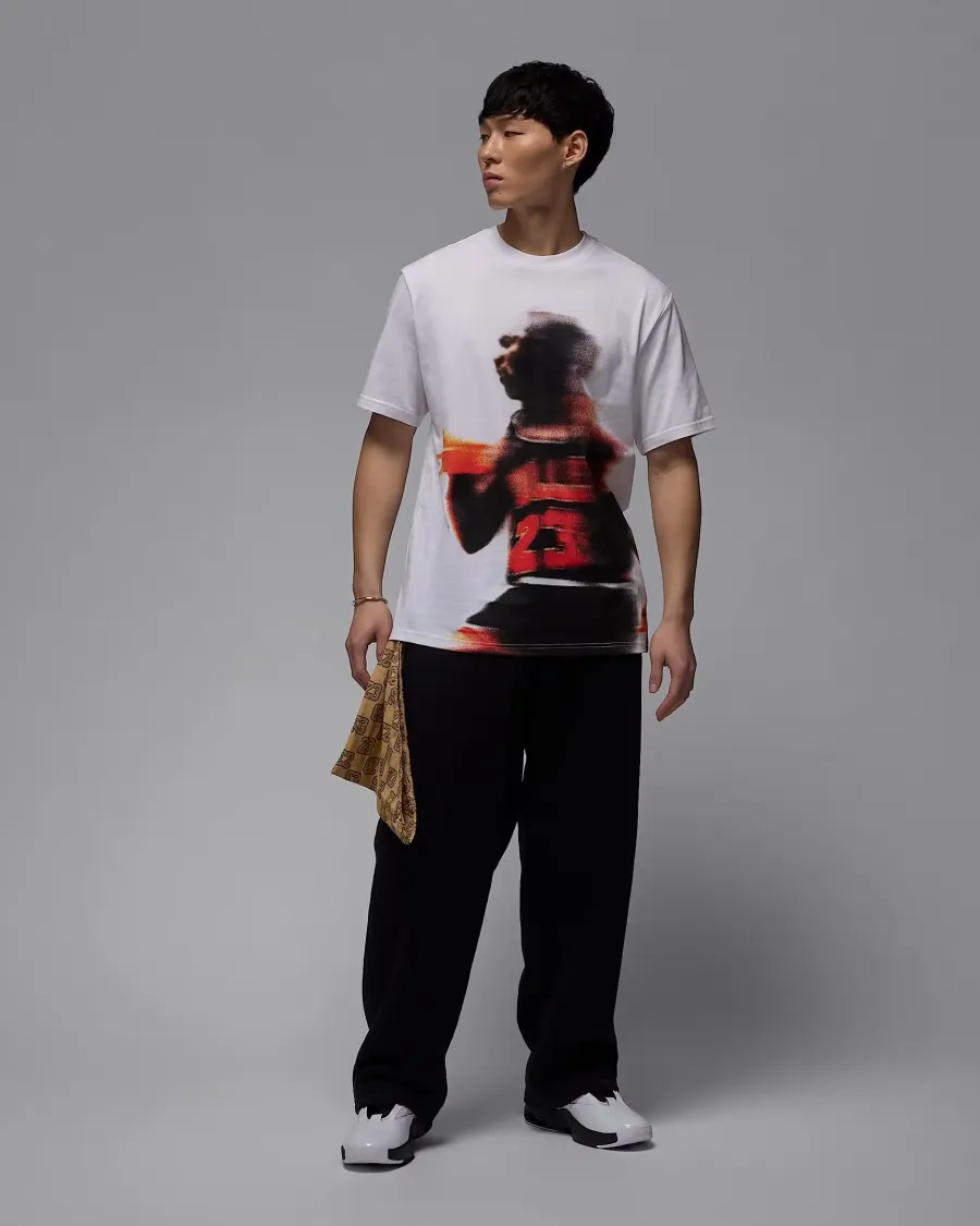 Футболка Nike Air Jordan Sport Dri-FIT Graphic HQ8966-100