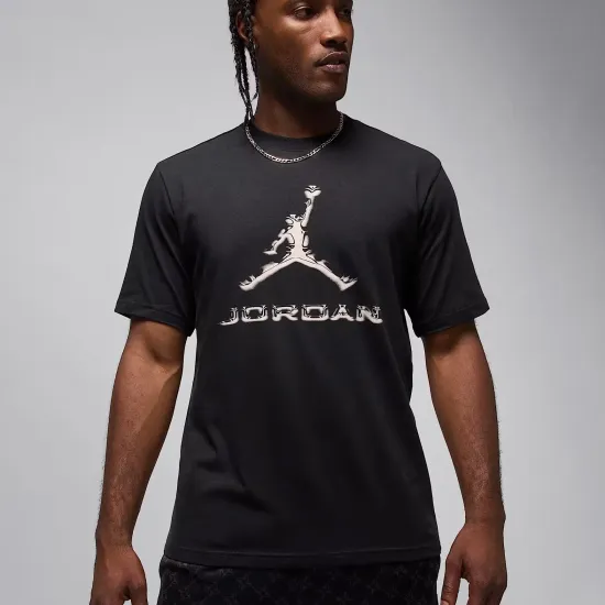 Футболка Nike Air Jordan Sport Dri-FIT HQ9091-010