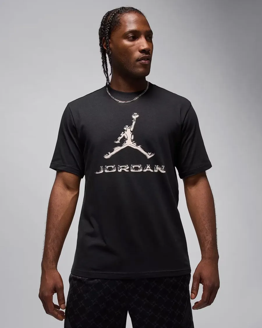 Футболка Nike Air Jordan Sport Dri-FIT HQ9091-010