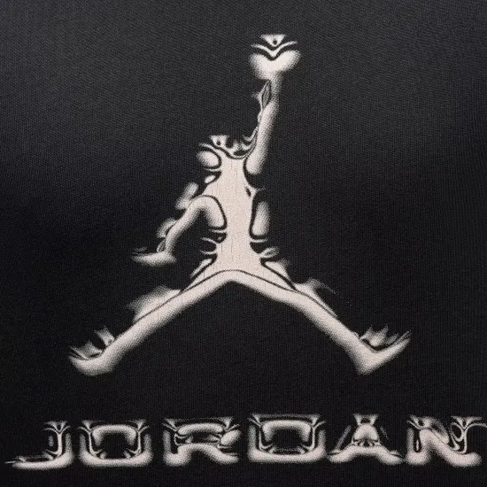Футболка Nike Air Jordan Sport Dri-FIT HQ9091-010