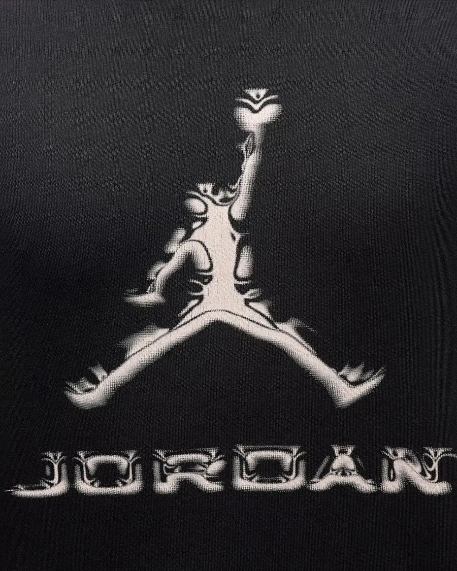 Футболка Nike Air Jordan Sport Dri-FIT HQ9091-010