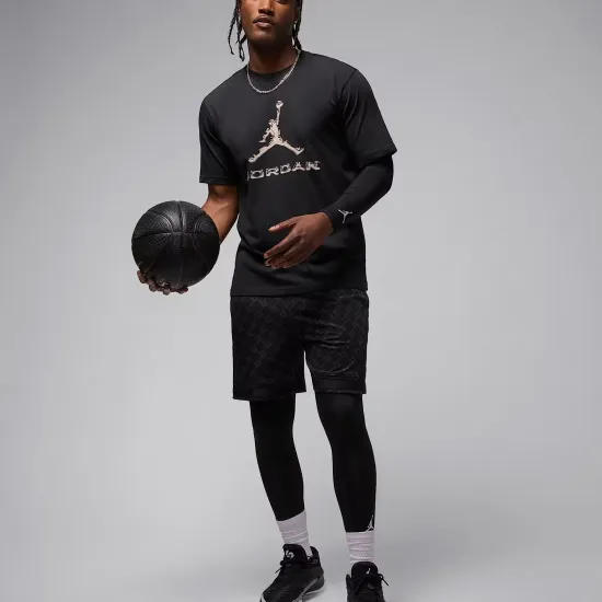 Футболка Nike Air Jordan Sport Dri-FIT HQ9091-010