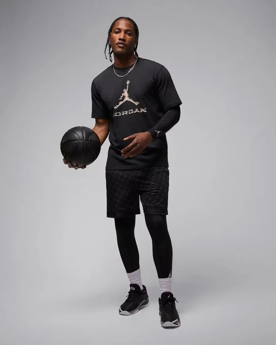 Футболка Nike Air Jordan Sport Dri-FIT HQ9091-010
