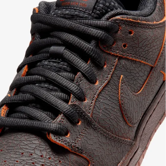 Кросівки Nike SB Dunk Low HV1668-001