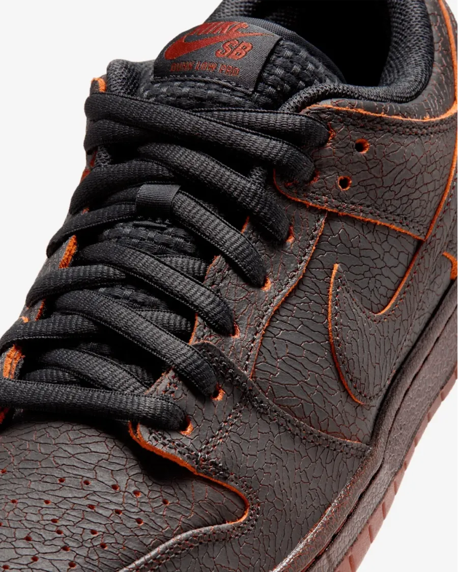 Кросівки Nike SB Dunk Low HV1668-001