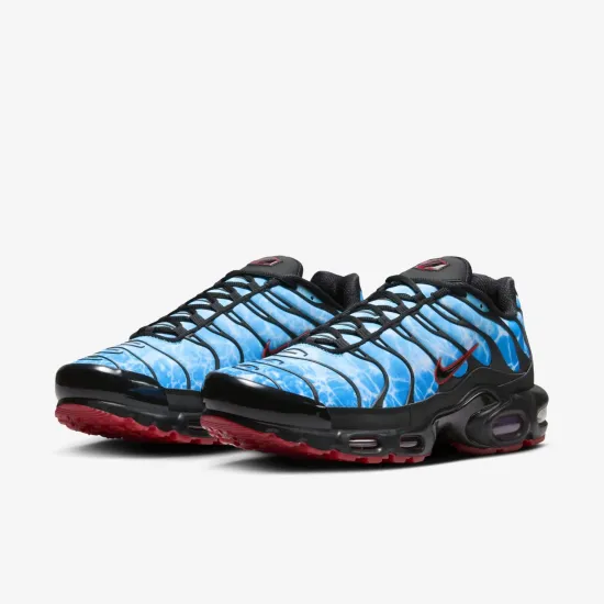 Кросівки Nike Air Max Plus HV2884-400
