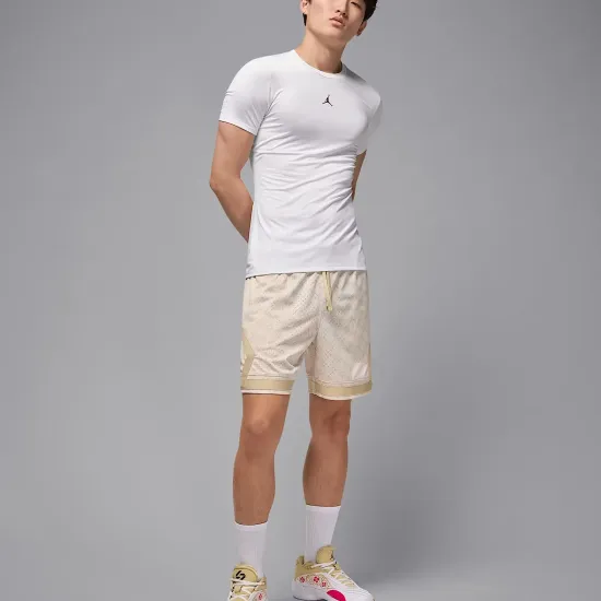 Футболка Nike Air Jordan Sport Dri‑FIT HV4099-100