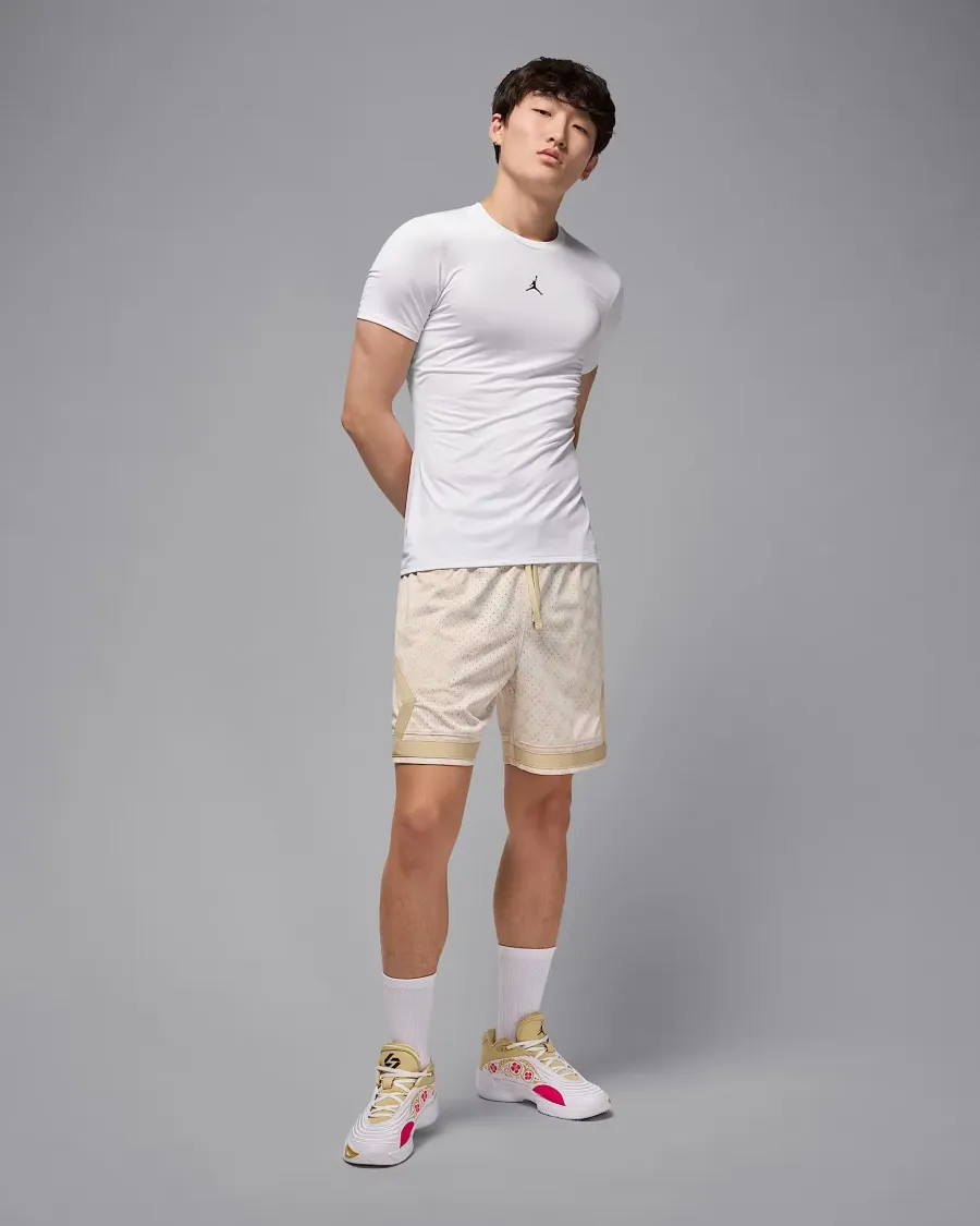 Футболка Nike Air Jordan Sport Dri‑FIT HV4099-100