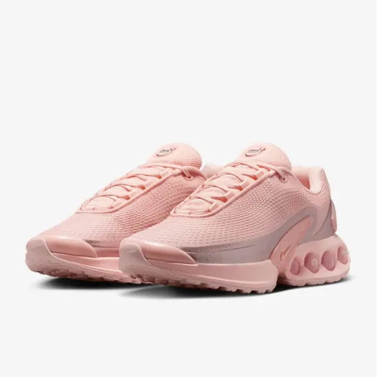 Кросівки Nike Air Max DN HV4861-601