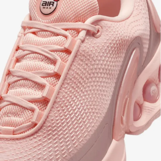 Кросівки Nike Air Max DN HV4861-601