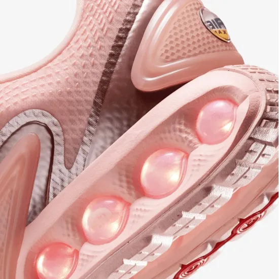 Кросівки Nike Air Max DN HV4861-601