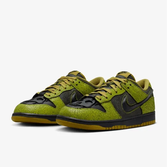 Кросівки Nike Dunk Low Retro QS HV6103-300