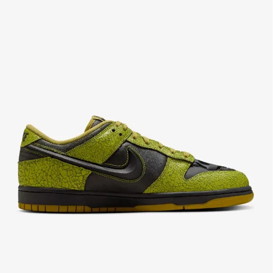 Кросівки Nike Dunk Low Retro QS HV6103-300