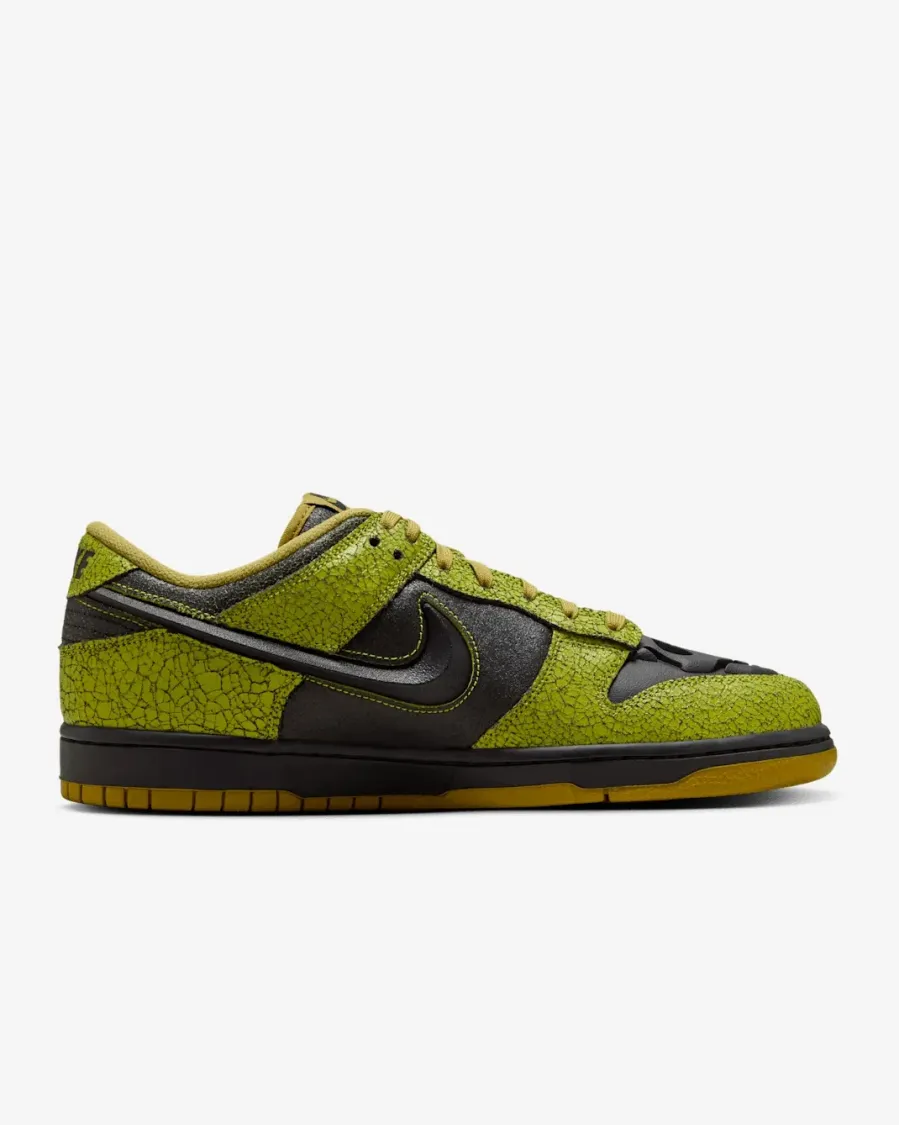 Кросівки Nike Dunk Low Retro QS HV6103-300