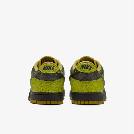 Кросівки Nike Dunk Low Retro QS HV6103-300