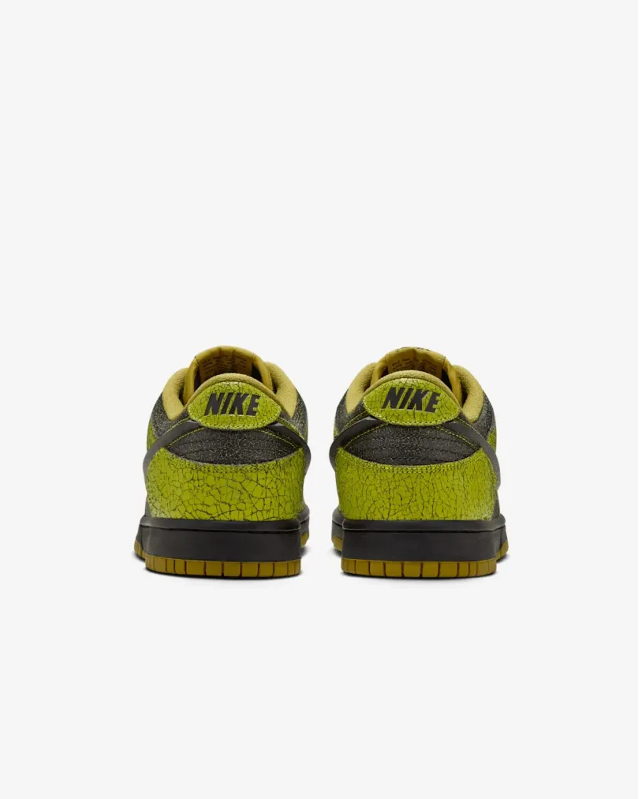 Кросівки Nike Dunk Low Retro QS HV6103-300